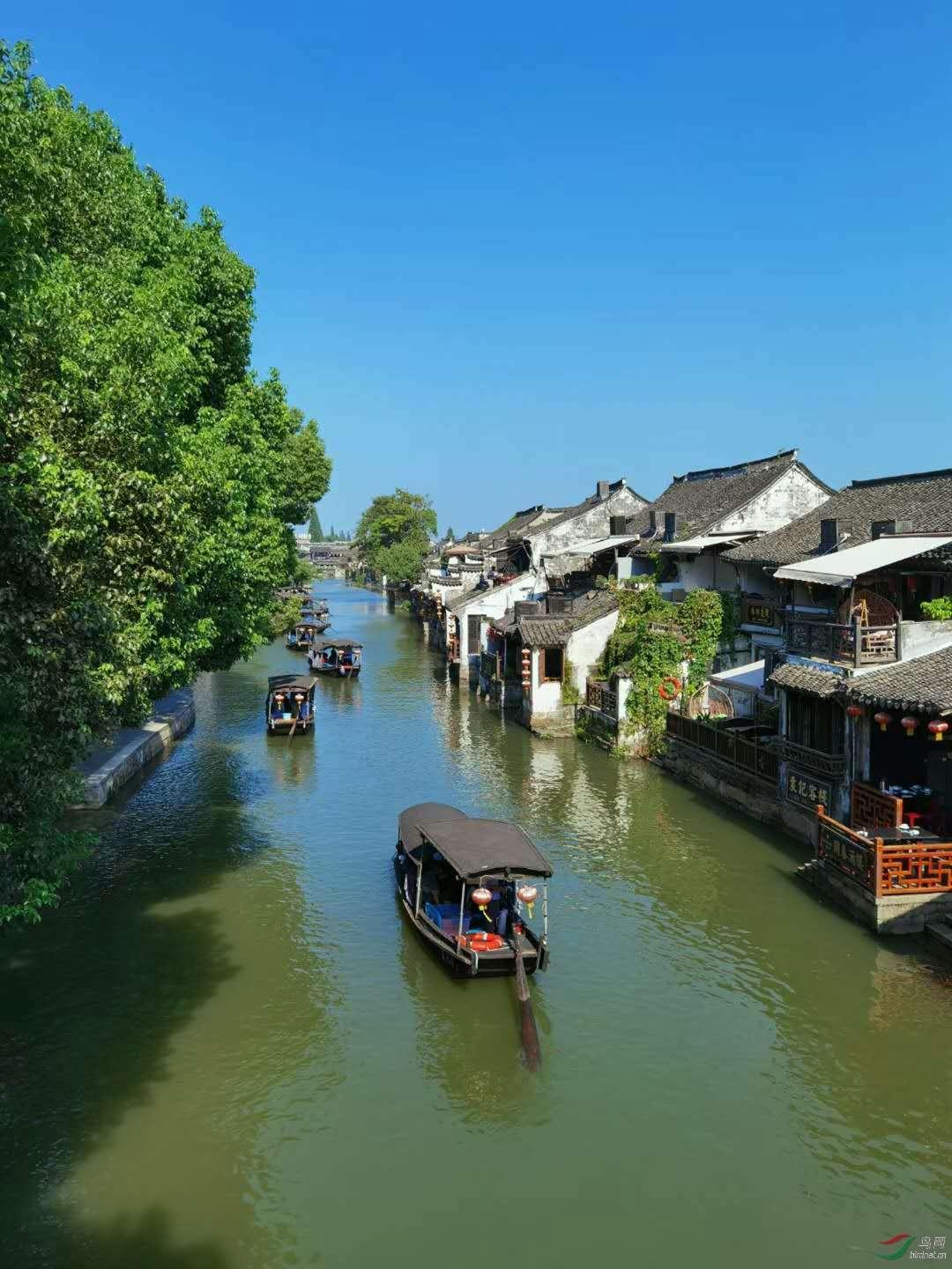 弹窗“乱跳转”、“关不掉”,闲鱼等31款APP被通报